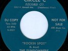 THE SUNDOWNERS Rockin Spot RARE ROCKABILLY 45 on CIRCLE C M-