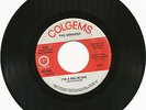 The Monkees I'm A Believer 1969 Colgems circle logo