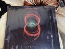 Pearl Jam Binaural Album Lp Sealed
