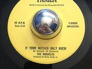 Northern Soul The Miracles IF YOUR MOTHER ONLY KNEW Tamla 45 rare popcorn