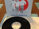 Insted - Bonds of Friendship LP wishingwell records oop bold uniform choice hxc