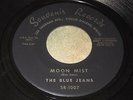 The Blue Jeans: Moon Mist / D.J. Theme 45 - Shaker