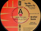 BROTHER SUSAN Demo 45 Glam Junkshop Rock Powerpop 7