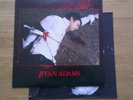 Ryan Adams Rock n Roll vinyl album  LP near mint condition