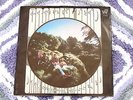 RARE GRATEFUL DEAD PICTURE SLEEVE 