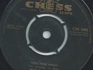 RADIANTS - VOICE YOUR CHOICE - IF I ONLY HAD YOU