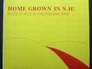 The Nubs Tyler Capone Private NH New Wave Garage Comp LP Vol I