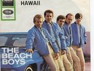 Sg.   -   THE  BEACH BOYS   -   FARMER`S DAUGHTER     -   CAR COVER