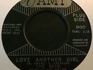 ORIGINAL NORTHERN SOUL 45 - THE RAYS - LOVE ANOTHER GIRL - AMY - DEMO - RARE