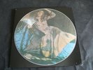 David Bowie Picture disc LP The man who sold the world Dress cover disc NR MINT