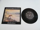 SAD LOVERS & GIANTS Colourless Dream 45 UK Last Movement 81 Pic Sleeve Post Punk