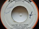 WINSTON WRIGHT & THE MINISTERS / YOU'RE ALL I NEED / LISTEN