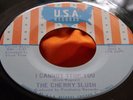 NM Garage Psych 45 : The Cherry Slush   Don't Walk Away   USA 895