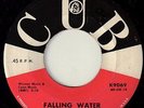 Zebulons Falling Water Cub Hear