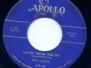 The Larks RARE Doo Wop 45 APOLLO 475 Honey From The Bee No Mama No HEAR IT