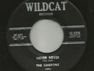 NORTHERN SOUL DOOWOP GIRLS --CHIFFONS -  NEVER NEVER - HEAR BOTH- on WILDCAT