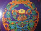 Grateful Dead - Anthem Of The Sun - LP von 1968