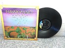 HAWKWIND  