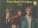 STANDELLS--PICTURE SLEEVE + 45-(POOR SHELL OF A MAN/TRY IT)--PS--PIC--SLV
