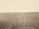 Milk Carton Kids, The - THE ASH & CLAY