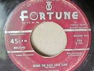 RARE ROCKABILLY 45- ROY RECTOR- HEARD THE BACK DOOR SLAM FORTUNE RECORDS DETROIT