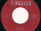 HEAR Flowerz-Flyte killer 1968 Reading PA punkadelic masterpiece with fuzz MINT