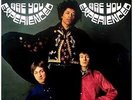 THE JIMI HENDRIX EXPERIENCE LP ARE YOU EXPERIENCED 180 GRS MUSIC ON VINYL MONO