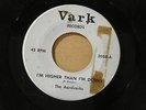 AARDVARKS I'M HIGHER THAN I'M DOWN VARK orig US G45 GARAGE  FENTON 7