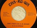 D.A.B. Express 45 CHA-RU-WA Ain't That A DAB Shame RARE FUNK LISTEN