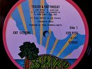 Cat Stevens-Teaser & The Firecat, 1st UK Press, PHENOMINAL Audio, Near Mint