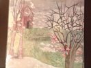 Margot & the Nuclear So and So's Not Animal Vinyl Double LP w/ Poster Ex Epic