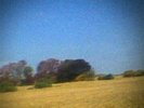Sun Kil Moon 