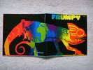 FRUMPY  -  All will be changed  1970  Krautrock Original