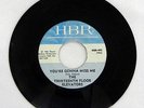 THIRTEENTH FLOOR ELEVATORS - YOU'RE GONNA MISS ME HANNA BARBERA RECORDS HBR-492