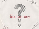 PRINCE WILLIAM Tell Me Why/Can't Take The Rock 7