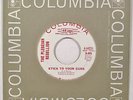 mod garage dancer 45 PLEBEIAN REBELLION “Stick To Your Guns” COL demo NM HEAR