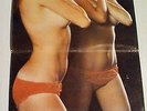 Dan Hill Sounds Electronic LP Gatefold 1970 South Africa Cheesecake Sexy Cover