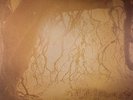 GOLDEN VOID - Golden Void - limited LP