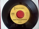 THE FEATURES Floozie Of The Neigborhood 45 RARE POWER POP PUNK KBD NYC 1979