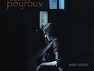 Madeleine Peyroux - Bare Bones+++2 LPs 180g Vinyl++MFSL 2-323+++NEU+++OVP