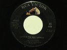 northern soul THE LOLLIPOPS Love Is the Only Answer RCA VICTOR hear soundclip