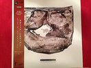 DAVID SYLVIAN-LET THE HAPPINESS IN-12