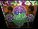 MINT 1967 ORIG   THE FIFTH ESTATE - THE WITCH IS DEAD    Garage Psych