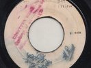 '69 USETTER REGGAE 45 BLEECHERS COME INTO MY PARLOUR/EVERYTHING FOR FUN ?