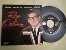 EP ROY ORBISON '' GOODNIGHT/ONLY WITH YOU/SUMMER SONG/ RAINDROPS ''/FRANCE