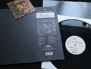 DEUS Worst Case Scenario RARE Ltd. UK Island LP