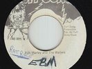 Roots Reggae 45 - Bob Marley & The Wailers - Rat Race - Tuff Gong - mp3