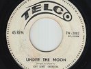 Calypso 45 - Joey Lewis' Orchestra - Under The Moon - Telco - mp3