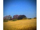 SUN KIL MOON: BENJI 2x YELLOW VINYL LP MARK KOZELEK / RED HOUSE PAINTERS / NEW