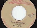 Max Asher - Black Cinderella - KILLER ROOTS